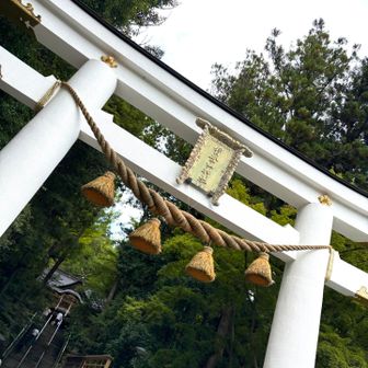 宝登山神社
登拝お疲れ様でした！