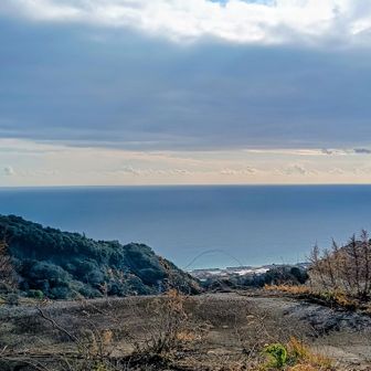 今日の☁は厚めですね〜🤫