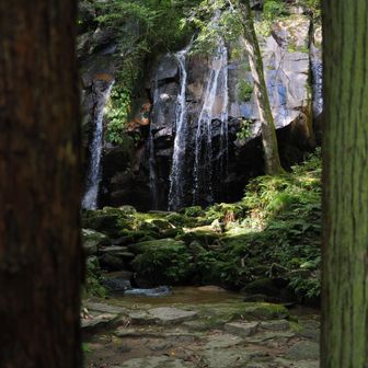 木の額縁より