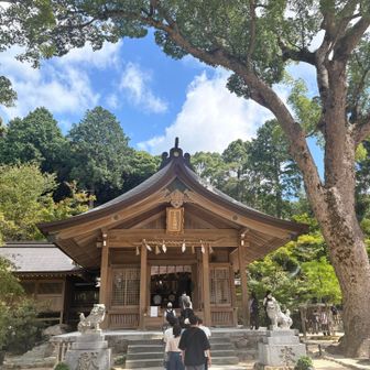 久々の竈門神社⛩️