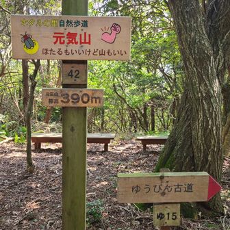 元気山
西側は、それっぽい地点が山頂だなと(笑)