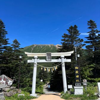 登山口も雰囲気がかわる