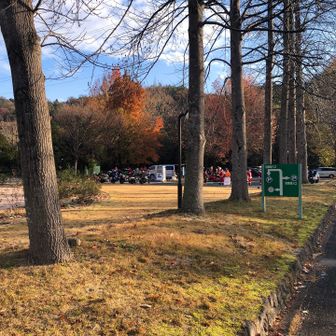 わ、サンタがめっちゃ増えてる！さらに、どんどんとバイクが入って来ます。