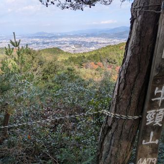 牛頸山からの眺望は意外と良いんですが
今日はモヤっとしました🥹