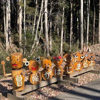 ここに来たら、これ必須❗️