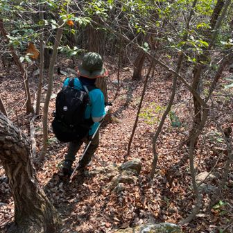 ここから正規ルートだと戻るのですが、いってまえーの姉に乗っかりショートカットルートへ😅