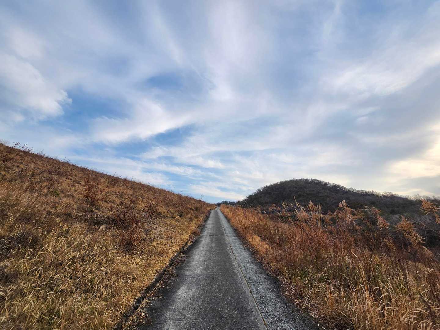 山口登山口-大坂山 周回コースの写真