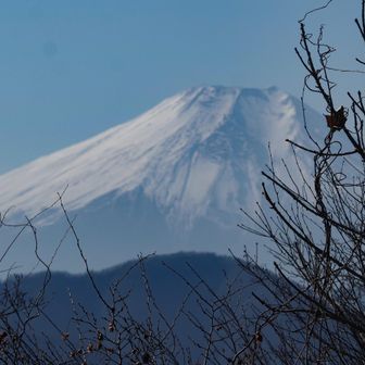 木々に隠れてますが、辛うじて頑張りました🗻