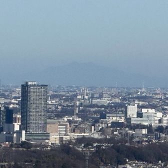 筑波山がうっすら見えました⛰️