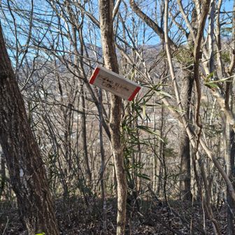 オキ山
ここだけ標識あり
