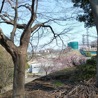 尾根幹線道路はトンネルの工事中