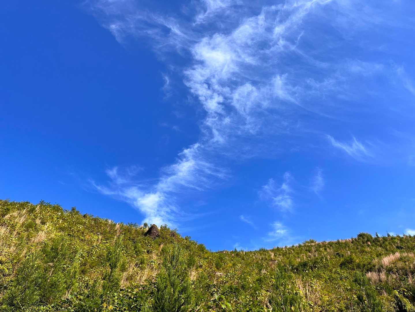 見上げると青空🔵
