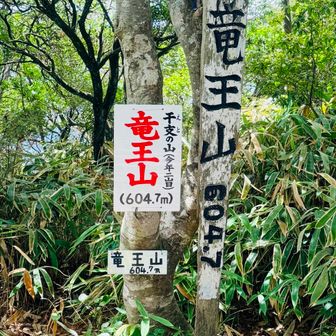 眺望はありませんが、大きな看板