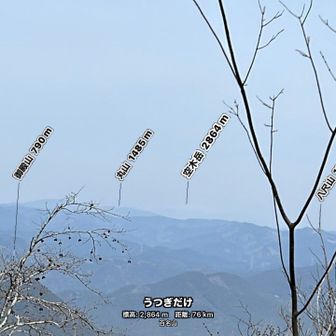 ぼんやり😶‍🌫️と