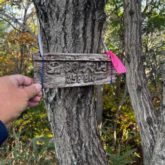 32　弁財天山　258.8m
No.8