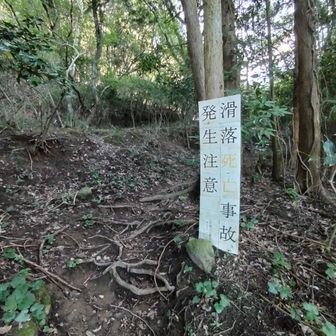 これを見たらビビリます