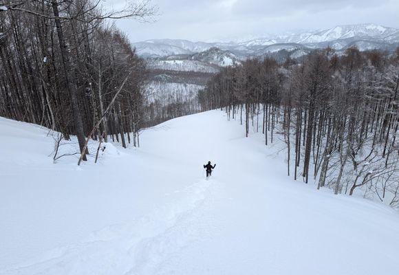 ZZ｜新潟県の登山記録 | YAMAP / ヤマップ