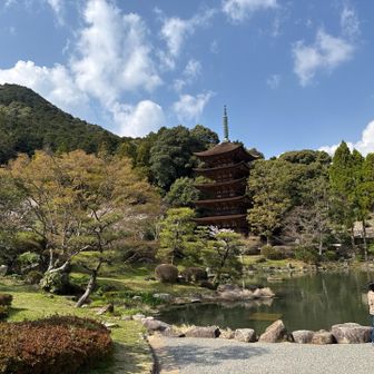 快晴の中国宝を眺める。