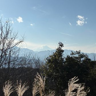 YAMAPに登録されてない小ピーク、苺山から富士山を眺める。縦走路上にある。氷の花(霜柱)で有名な巻き道を進むと苺山を巻く事が出来る。標高不明。山頂標無し。近くに東屋有り。