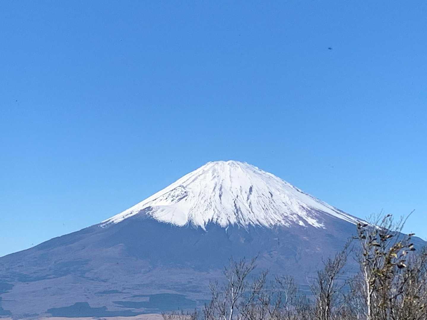 アップで😃