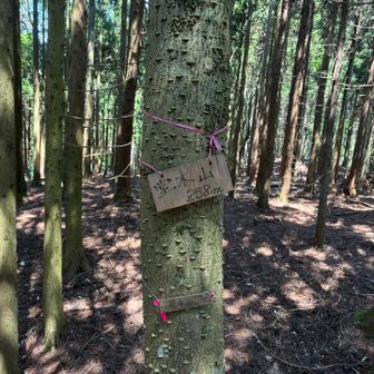 本日、ラストのピーク、堂木山に到着！