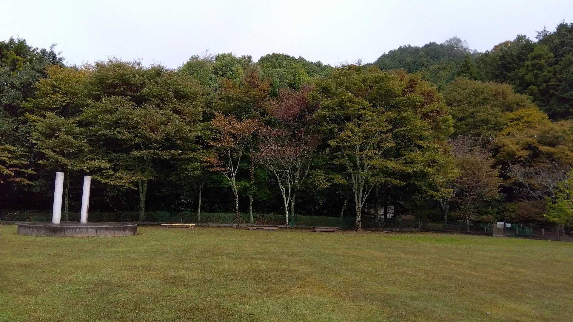 芝生広場🌳