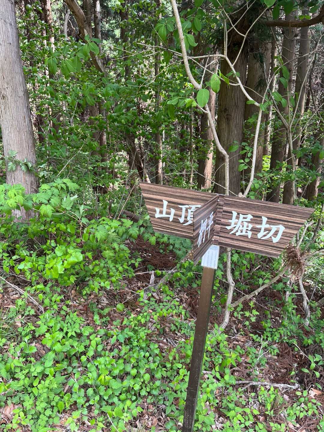 わたしでも迷わない親切な案内板