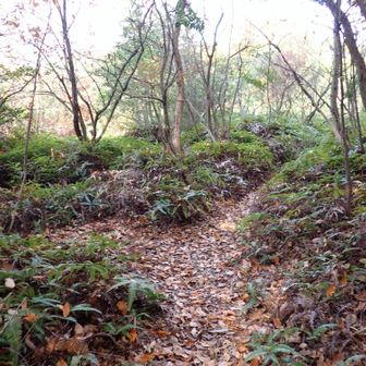 
この分岐は右へ