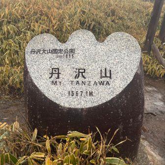 そういや昨日撮ってなかったな