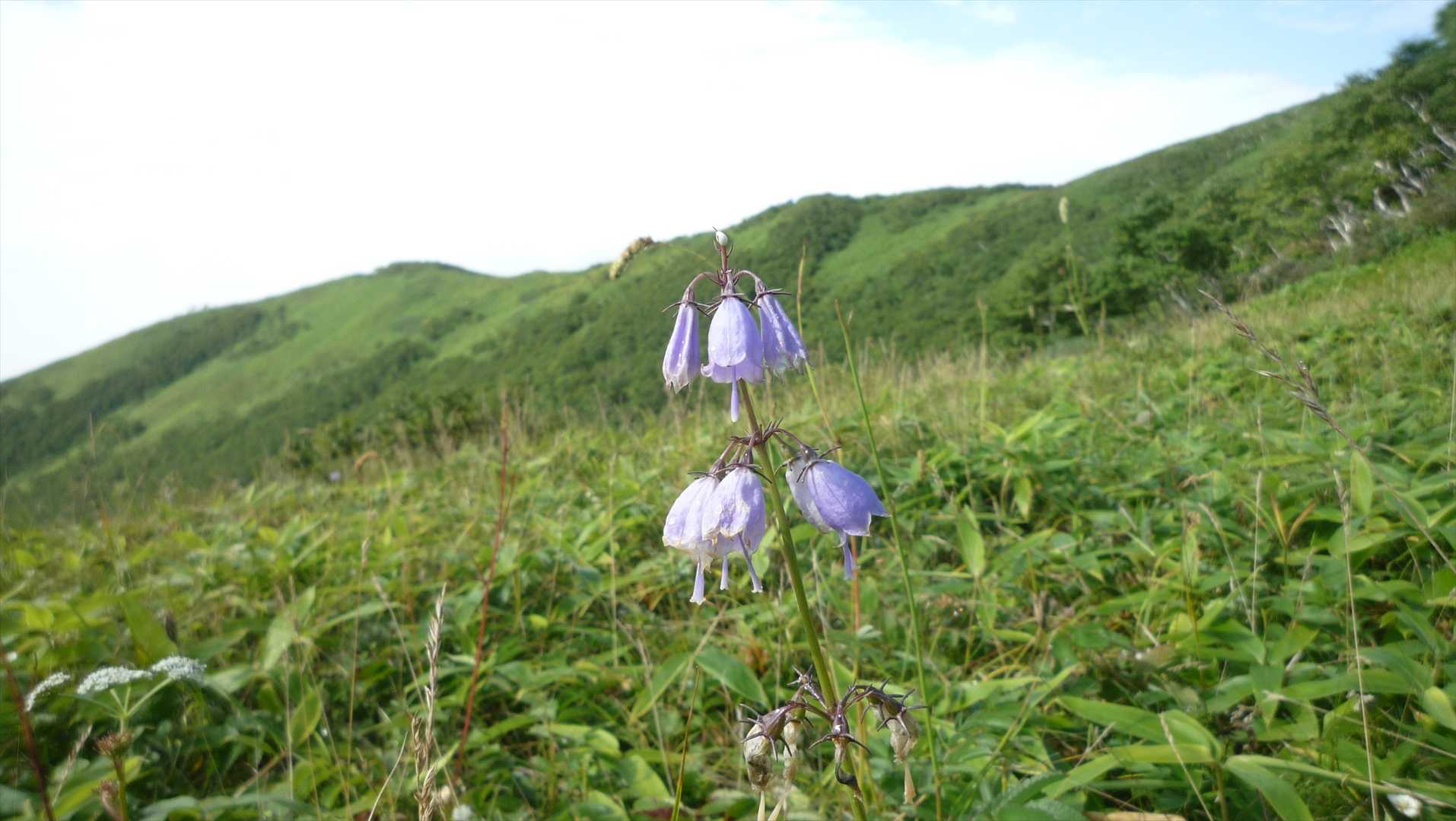リスケ山-西別岳 往復コースの写真