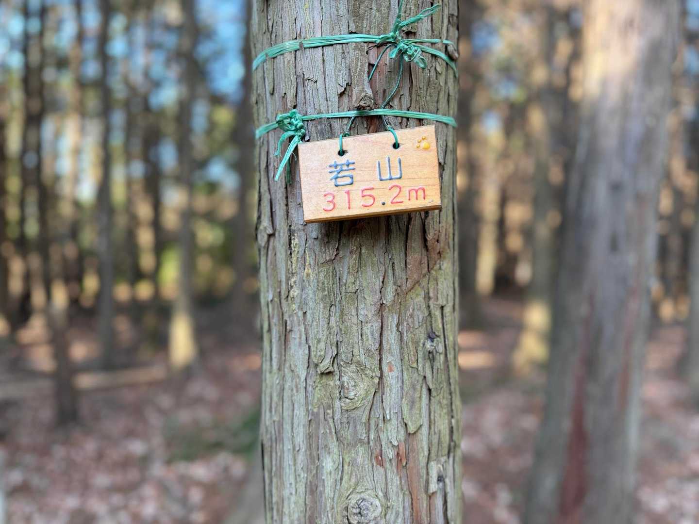 到着