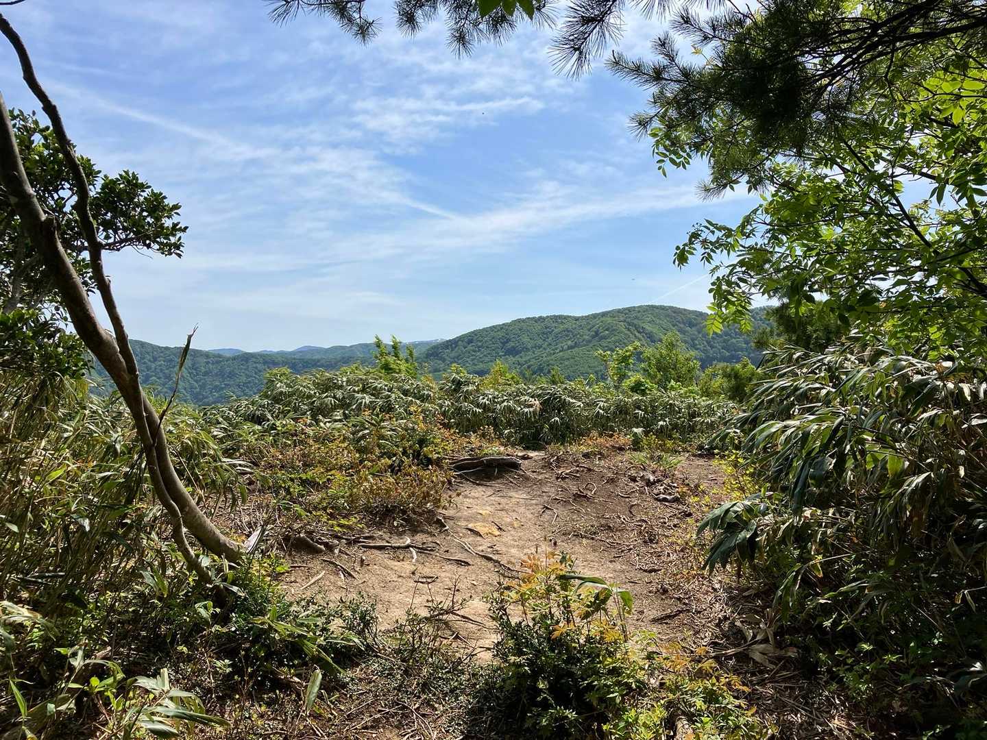 開けたと思ったら、陶石山の頂上です。