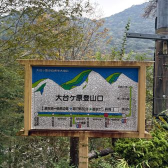 目標は大台ヶ原迄のピストン