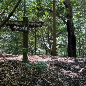 山上を一周してもとの登山道に戻る
