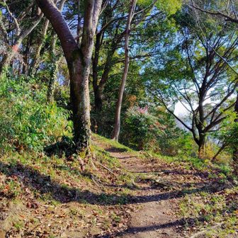 駐車場に着いたよ🅿️
今年も1年大変お世話になりました🙏
また来年もよろしくお願いします✨