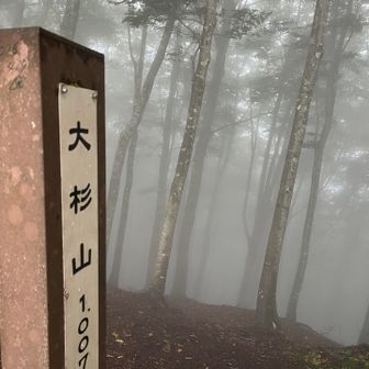 最後の山、大杉山に到着。
一旦雨が止みましたが、視界が濃霧に覆われ、嵐の前の静けさで不気味でした。
その後また嵐が😰