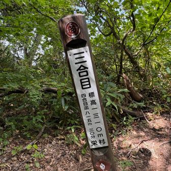やっと3合目まで降りてきました
無事に下山できてホッとしました😮‍💨