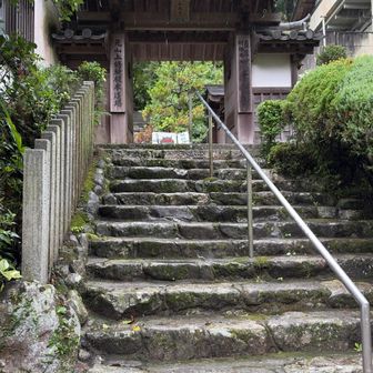 戻ってきました