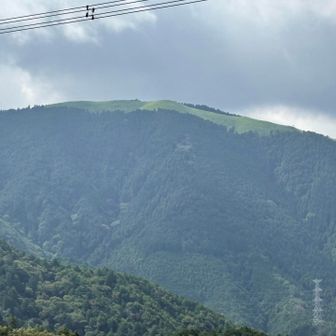 岩湧山が見えました⛰️🟢✨
後から行くよ👋
