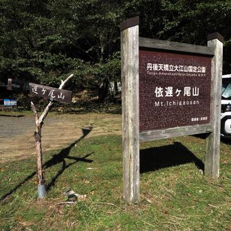 昼から登山で登ります