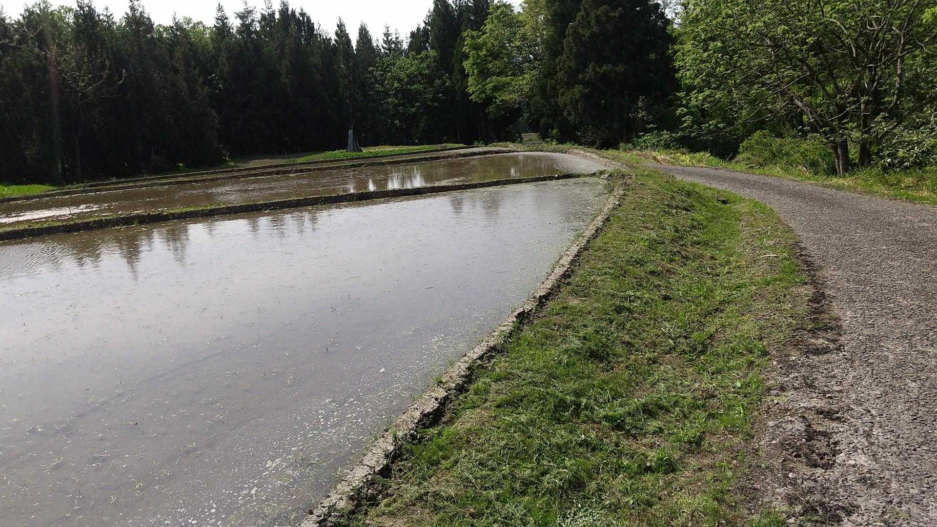 登山口まで戻ってきました。

途中、農作業されていた
方から声を掛けられて
雑談。

折居コースを整備されて
いるHさんはやはり有名らしい。
最近、コメリ財団から
表彰されたと新聞で知りました。

例の「水」マークに
ついて尋ねましたが
知らないそうです。

残念！

