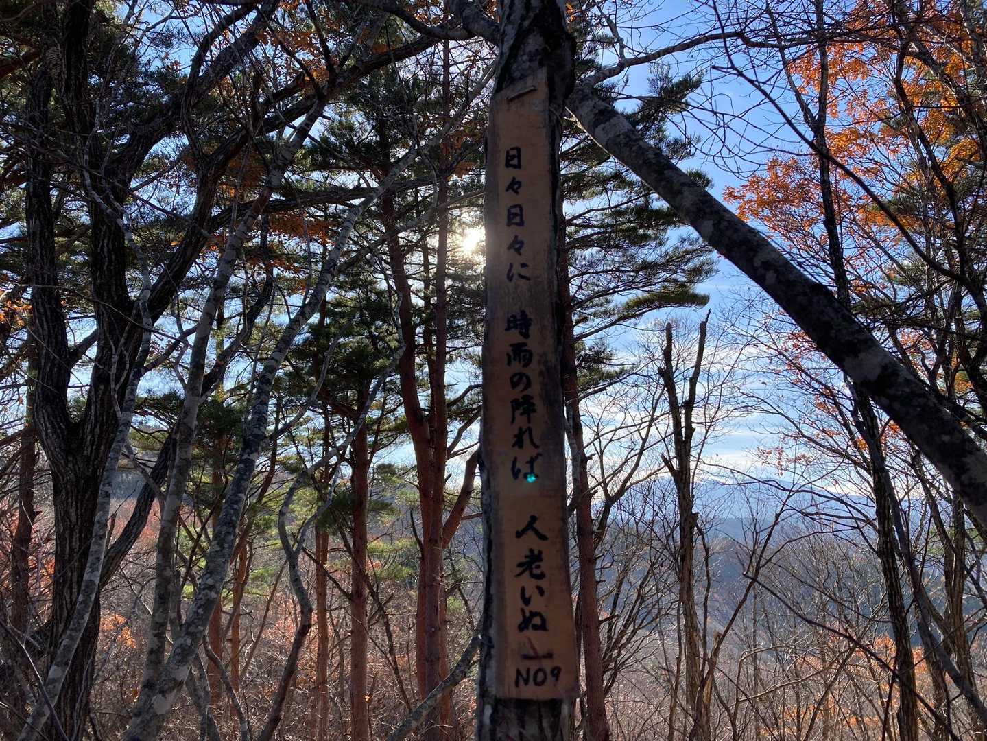 逆光が続きますがNO.9