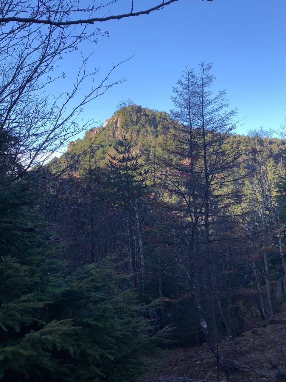 振り返って山が綺麗なので写真に🤗