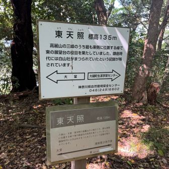 東天照→とうてんしょうと読むんですね。
アマテラスかと思ってた…