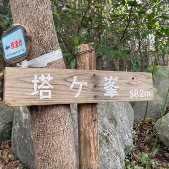 塔ヶ峯山頂
距離は短いけどそんなに楽な道じゃ無かった…