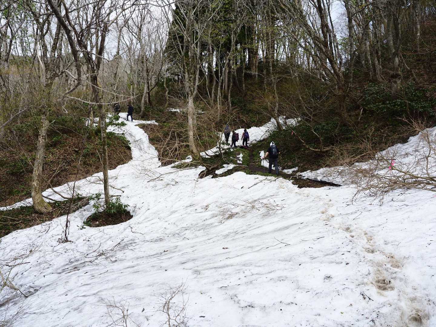 登山道はこんな感じで雪多いですが、トレースもありつぼ足で歩いていけます。
このあたりまで歩いてくると、樹林帯なので暑くなってきました💦