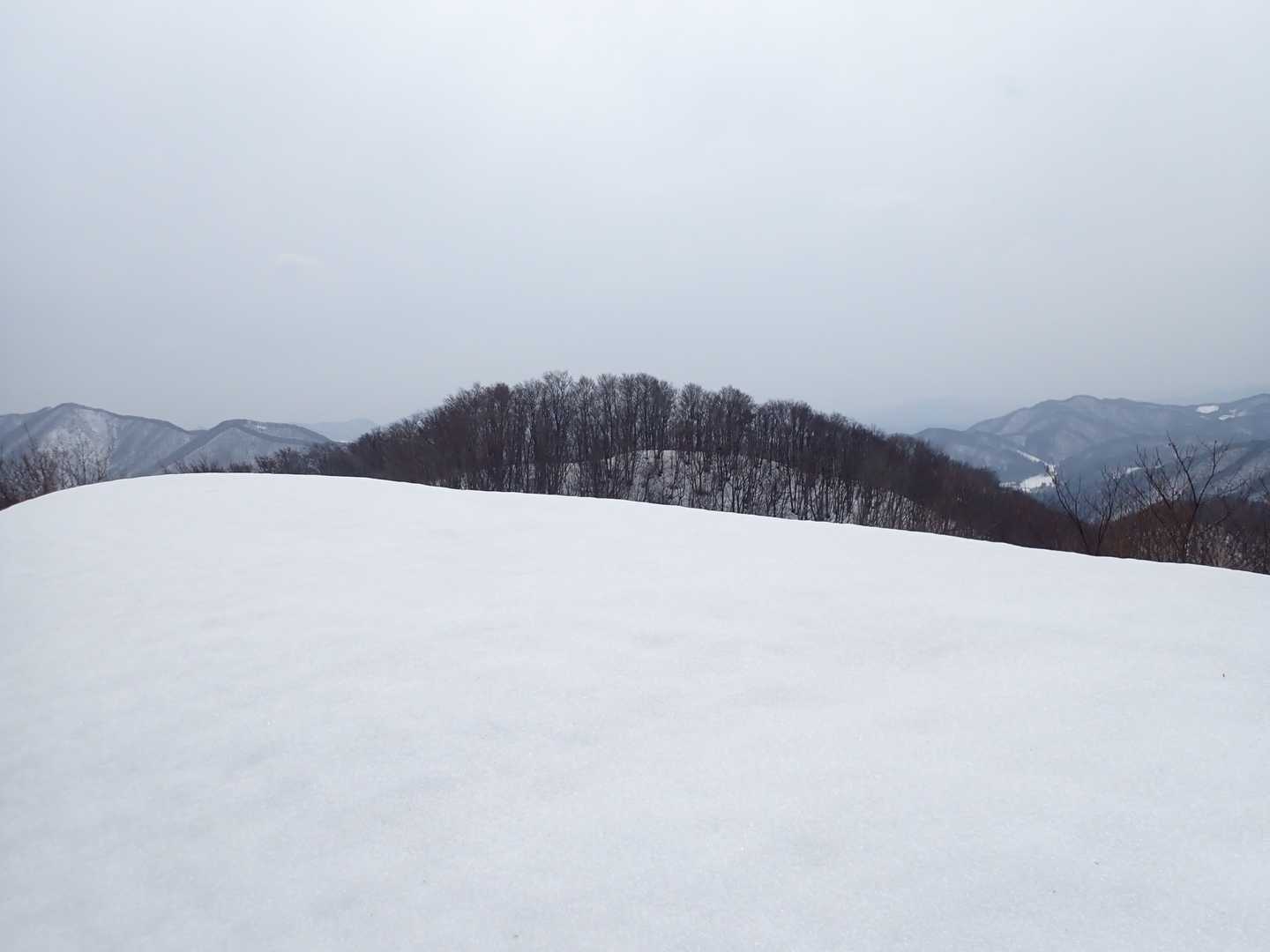 兜山 844.0m

さすがに頂上は踏み抜くことは無かったです。
