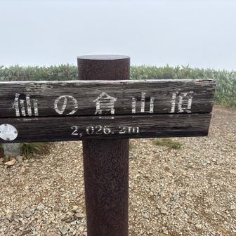 仙ノ倉山山頂！