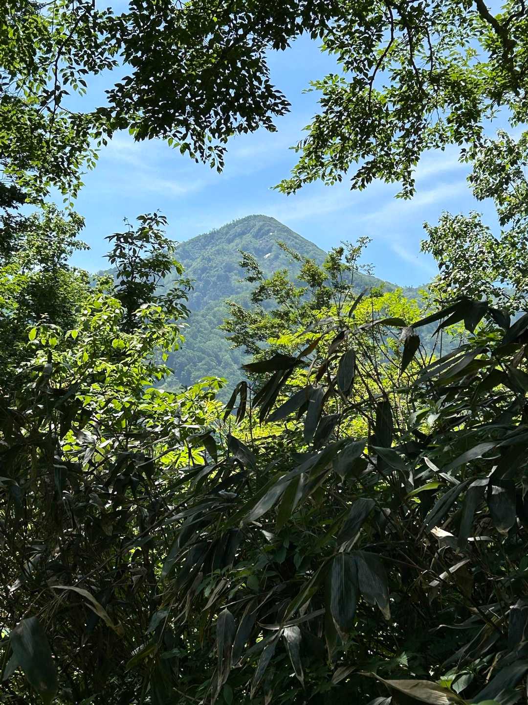 2人の背中を見送ってから　
あっ！あれが鍬崎山！
がんばって〜

リベンジしたいな