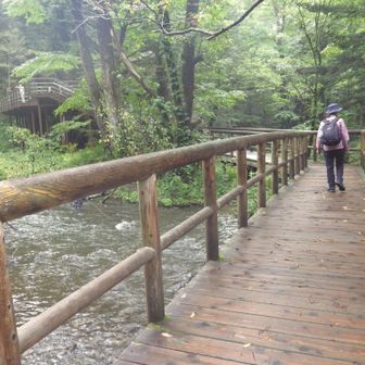 滝の音が近づいてきました